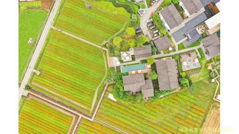 新时代乡村振兴：基层党建引领与十八洞村脱贫