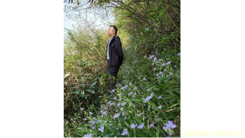 脱贫致富的引路人 ——记云顶村驻村工作队队长张向阳