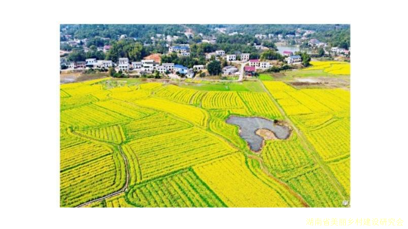 乡村振兴是实现共同富裕的必经之路 ——专家解读