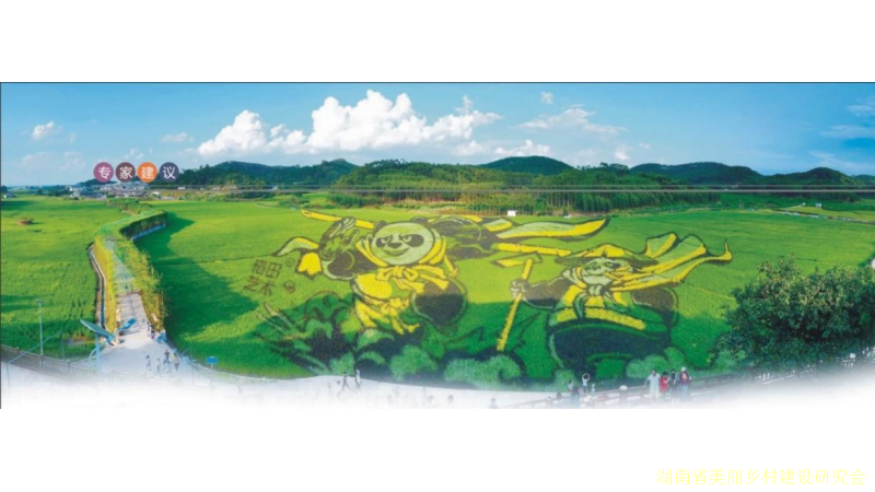 鼎城区三角堆村： 脱贫致富的乡村振兴路