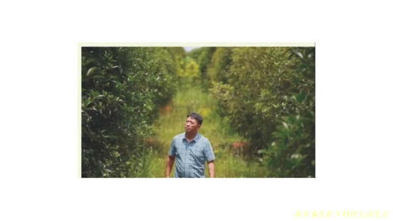 万亩荒山的开垦者 ——记湖南省政协委员刘祖治