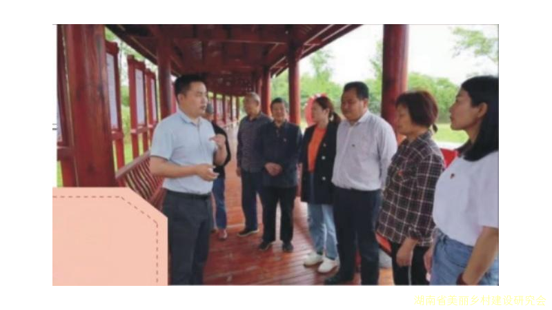 乡村振兴的建设者 ——记枫林口村党支部书记刘慧
